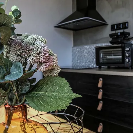 Stylovy Primo U Lanovky, Vlastni Garazove Stani Apartament