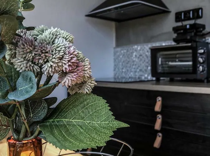 Stylový Přímo U Lanovky, Vlastní Garážové Stání Appartement