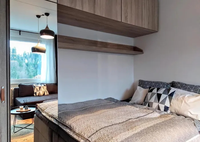 Stylový Přímo U Lanovky, Vlastní Garážové Stání * Janské Lázně